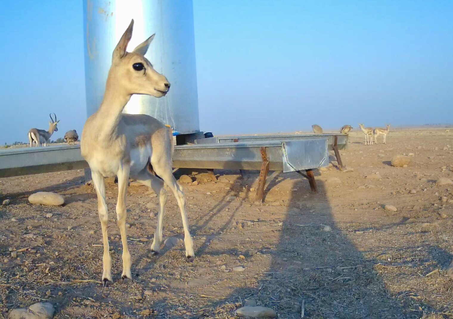Climate.KRD Launches Public Wildlife Photo Submission Program