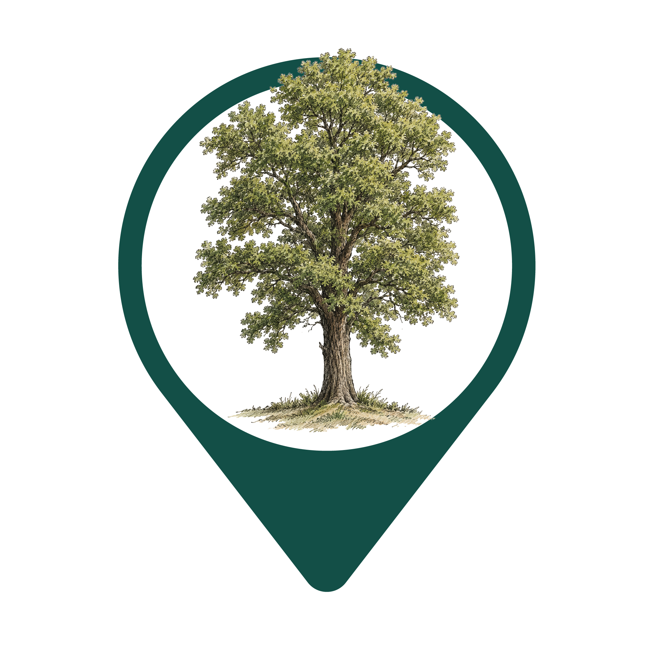 Brant's Oak